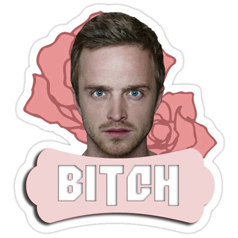 "Jesse Pinkman..." Stickers by Jessica Akers | Redbubble png image