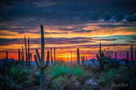 Pin by ertapp on Beautiful Sunsets | Desert sunset photography, Tucson ...