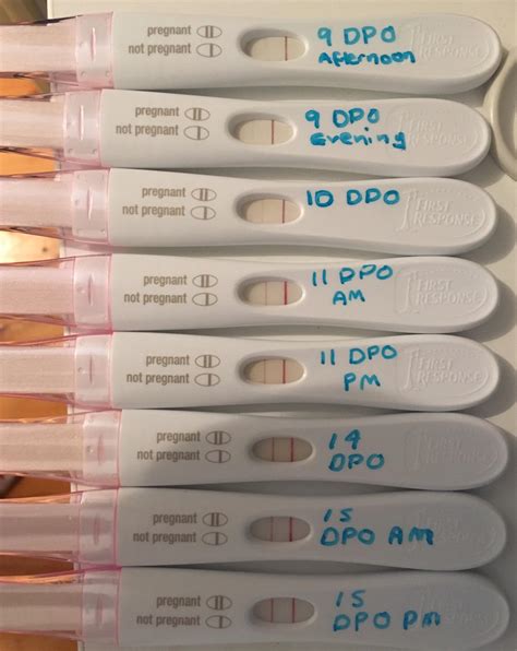 Pregnancy Test Progression Dpo Pregnancy Symptoms