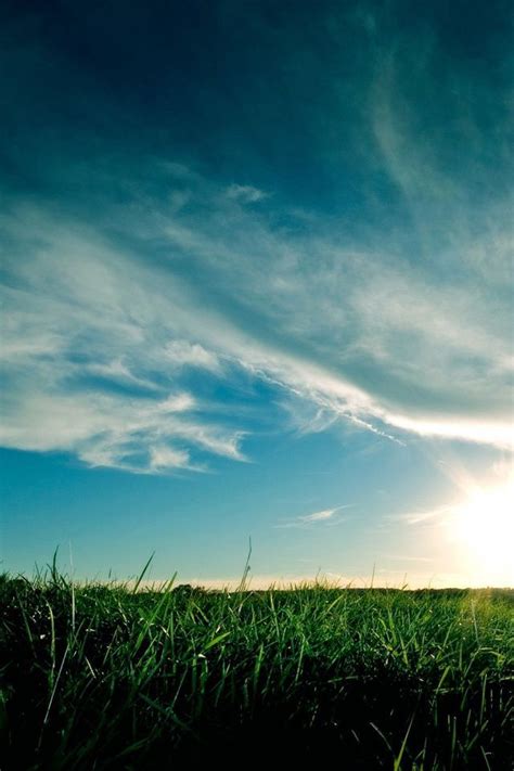 Blue Skies Over Meadow Smartphone Wallpaper Wallpaper Fresh Air