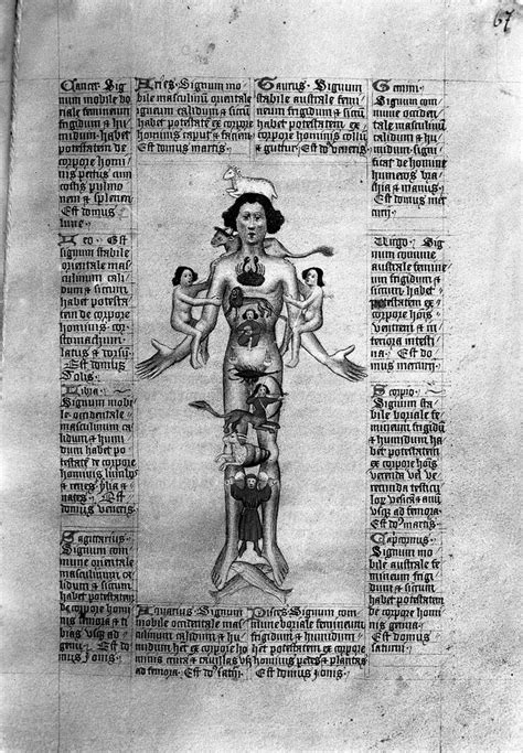 Illuminated Manuscript Manuscript 14th Century