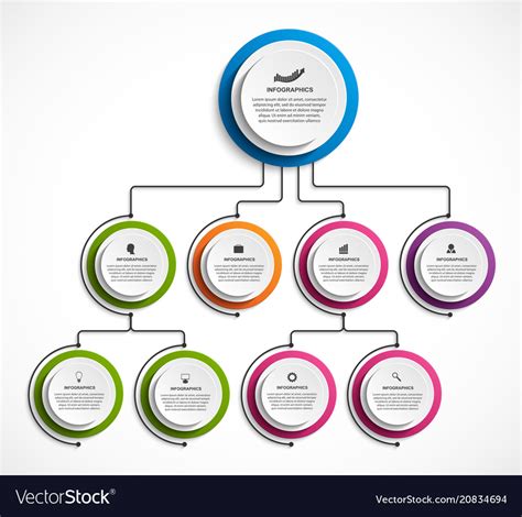 Infographic Design Organization Chart Template Vector Image