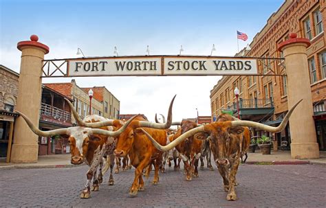 Fort Worth Stockyards Best Things To See And Experience