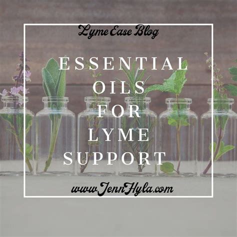 Essential Oils For Lyme Support — Jenn Hyla Essential Oils Lyme