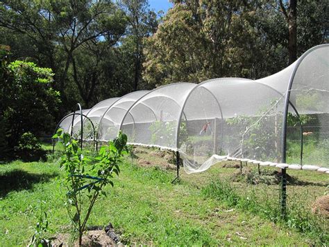 It says alternatives to netting, such as scaring off birds or restricting access to food sources, can be useful management tools to guide animals away from. Badger Farm: bird netting for fruit trees