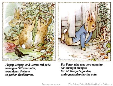 He even began to lose his shape, and he scarcely looked like a rabbit any more, except to the boy. Rabbit Quotes | Rabbit Sayings | Rabbit Picture Quotes