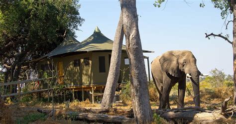 Little Vumbura Camp In The Okavango Delta Luxury Safari In Botswana