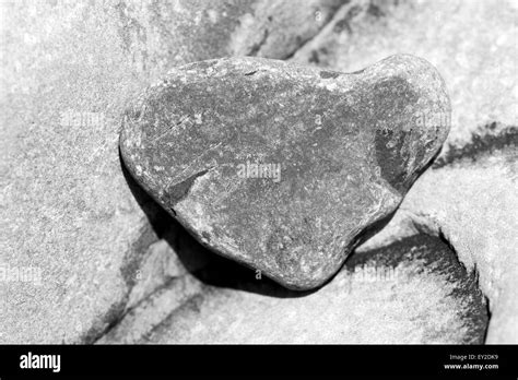Heart Shaped Stone Pebble High Resolution Stock Photography And Images