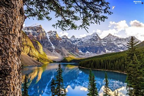 Alberta Canada Lake Forest Mountains Beautiful Views Wallpapers
