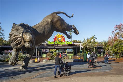 Zoológico De San Diego