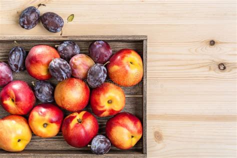 Nectarines And Plums Stock Image Image Of Food Fresh 96456085