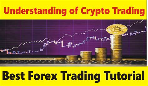 Covers defi & dex trading. Understanding of Crypto Trading | Best Forex tutorial 2020 ...