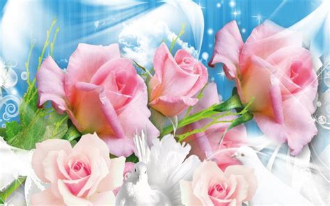Hd Pink Roses Turtle Doves Wallpaper Download Free 59608
