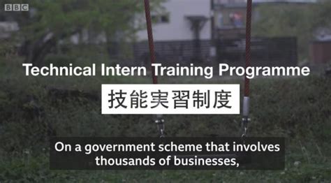日本の外国人技能実習制度BBCが特集記事を掲載彼らは過労で低賃金いじめや虐待の報告 情報速報ドットコム