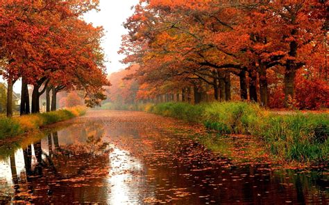 Autumn River Hd Wallpaper Background Image 1920x1200 Id929625