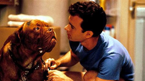 Turner And Hooch Review Movie Empire