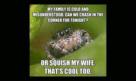 Misunderstood Spider Meme X House Spider Keep To Myself Hey Man Hey