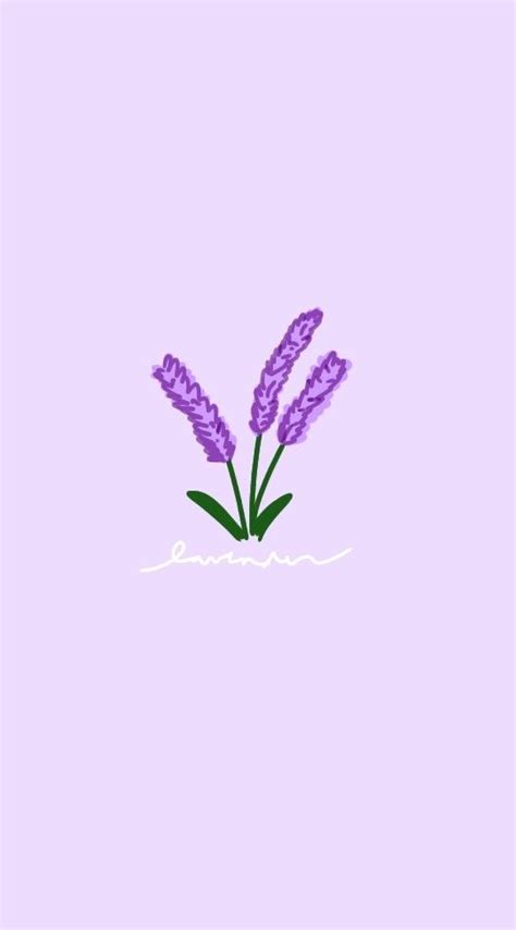 Lavender Wallpaper Purple Flowers Wallpaper Flower Aesthetic Flower