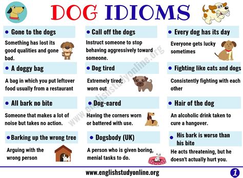 Dog Idioms and Sayings | List of 35+ Interesting Idioms Related to Dog ...