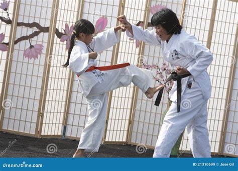 Karate Self Defense Editorial Stock Image Image 21310699