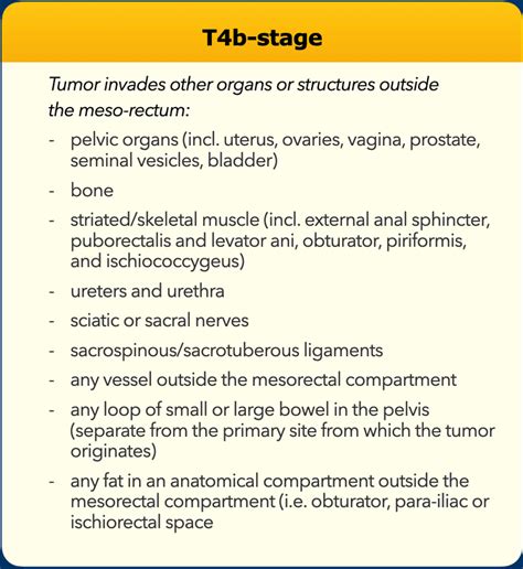 The Radiology Assistant Rectal Cancer MR Staging 3 0