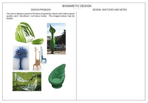 Biomimetic Design Exercise