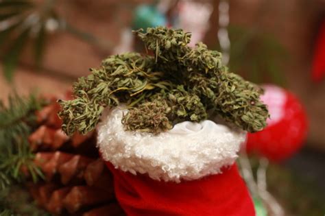 Best Cannabis Strains For Christmas