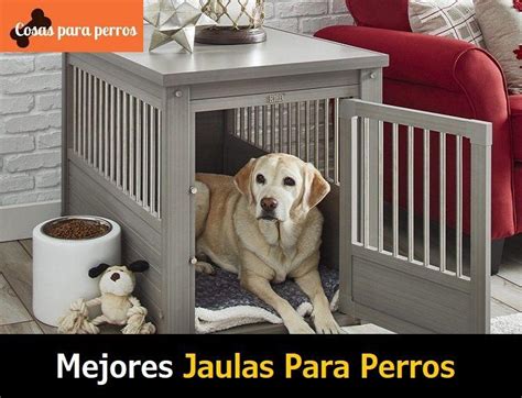 ⊛ Mejores Jaulas Para Perros Guía Y Comparativa