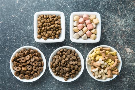 6 Common Food Allergens For Dogs Top Veterinary Advice