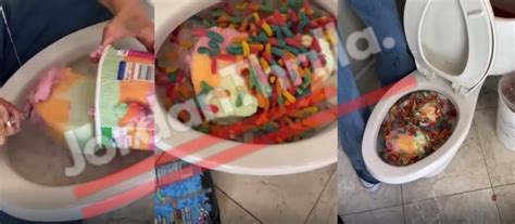 Toilet Bowl Punch Hack Goes Viral The Science Behind Toilet Bowl Ice Cream Punch Might Be