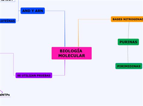 BIOLOGÍA MOLECULAR Mind Map