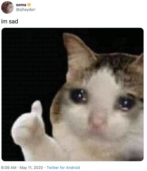 Just Sad Thumbs Up Crying Cat Know Your Meme