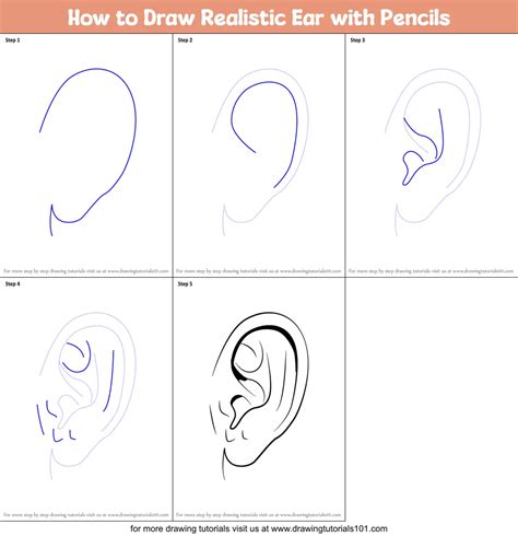 How To Draw Realistic Ear With Pencils Ears Step By Step