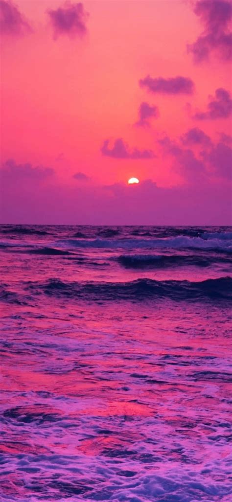 100 Pink Beach Sunset Wallpapers