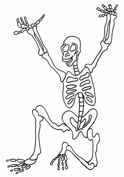 Skeleton Coloring Pages Human Printable Bones Sheets