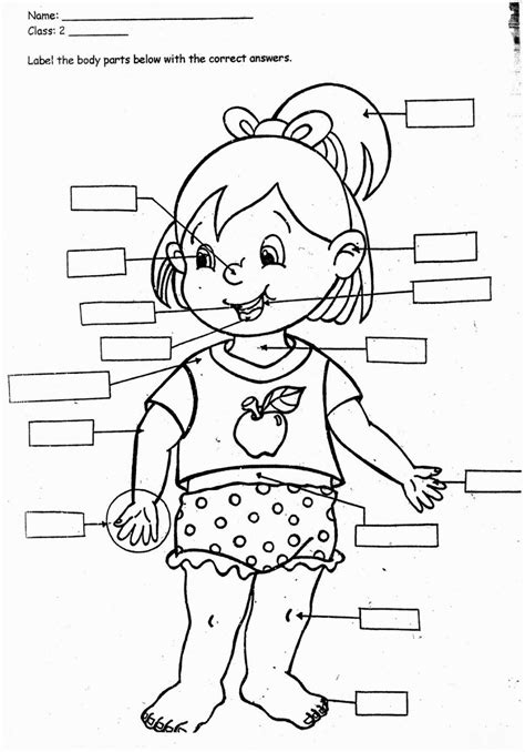 Body Parts For Kids Coloring Pages At Getdrawings Free Download