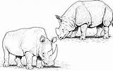 Rhino Yak Mammals sketch template