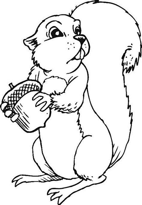 Drucke diese wandschablonen ausmalbilder kostenlos aus. Ausmalbilder eichhörnchen kostenlos - Malvorlagen zum ausdrucken - AffeFreund.com