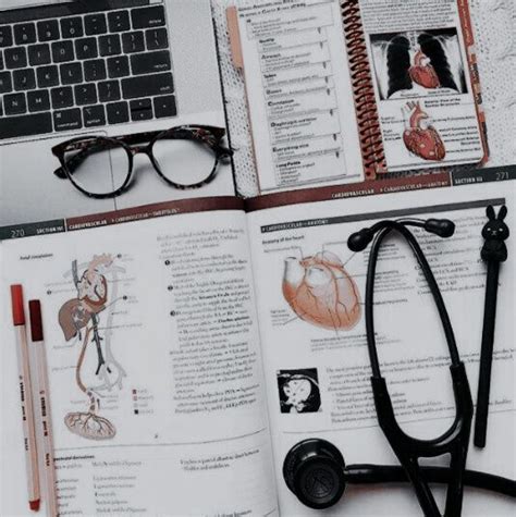 Pin By Anthy Dau On Lit — Hotshot Doc Medical School Studying