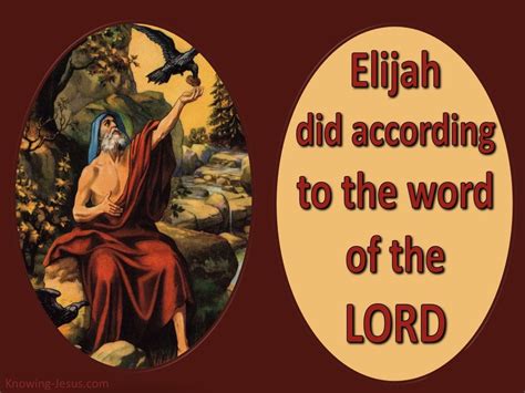 11 Bible Verses About Elijah Life Of