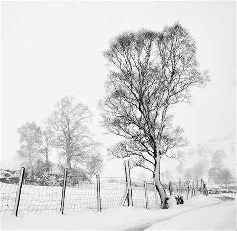 Taking Black And White Shots Of Snow Scenes