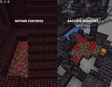 how to find nether wart in minecraft 2022 beebom