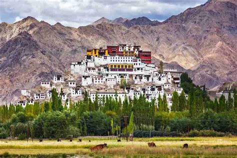 20 Places To Visit In Leh Ladakh Places To See In Leh Ladakh Treebo