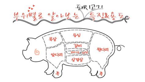 부위별로 알고 먹는 돼지고기 거성식품