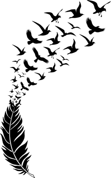 #ftestickers #feather #birds #freetoedit #remixit | Stickers, Bird feathers, Birds