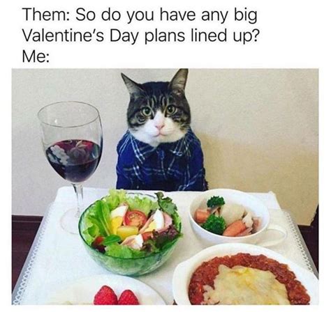 Pin By Cindy Rebecca On Caturday Funny Cat Memes Valentines Day