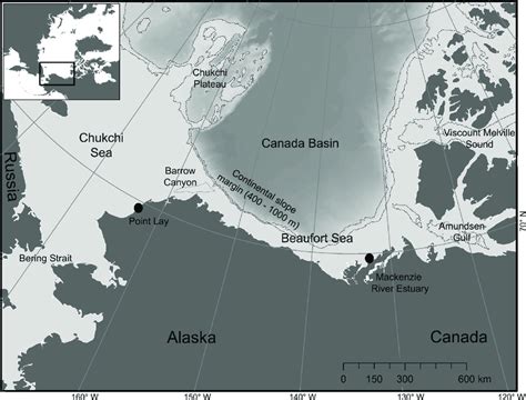 Study Area Where Chukchi And Beaufort Belugas Were Tagged Near Point