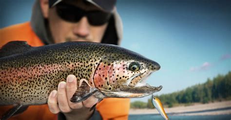 Ice Fishermans Unbelievable Trout Catch Leaves Viewers In Awe