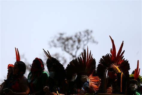 invasões a terras indígenas aumentam em 2020 mortes têm alta de 63 cnn brasil