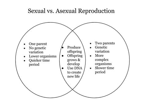 🌷 Compare Asexual And Sexual Reproduction Asexual Vs Sexual